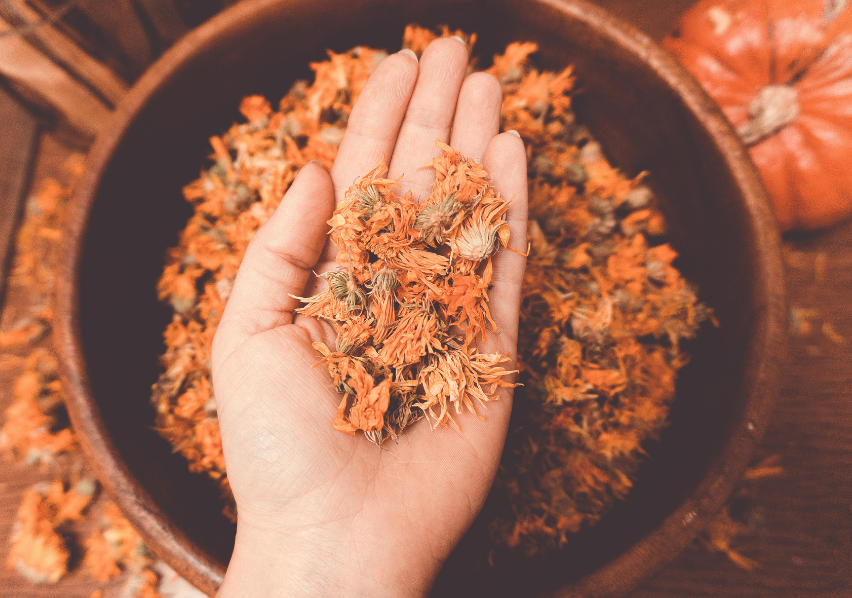 The Healing Power of Calendula for Skin: A Natural Remedy Backed by Science
